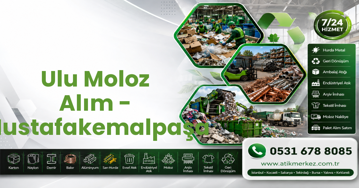 Ulu Moloz Alım - Mustafakemalpaşa